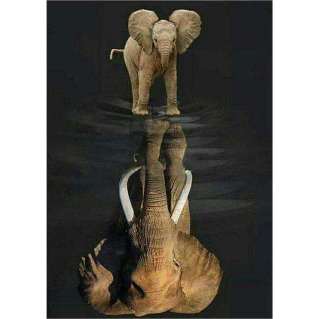 Elefant spegelbild Diamantmålning | Eget foto diamantmålnings | Diamond painting | Fyndiq | Sverige
