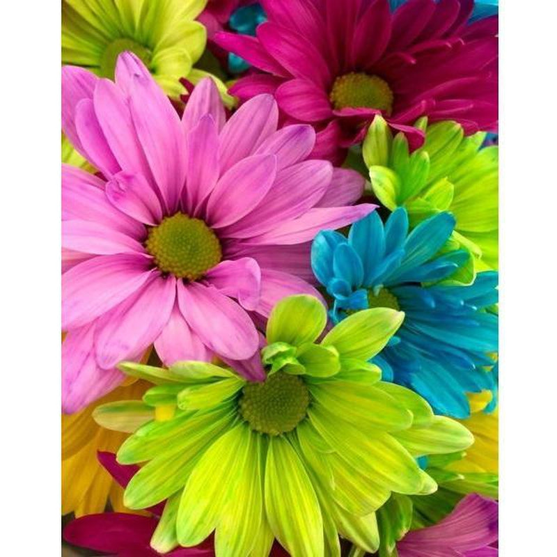 Färgglada blommor Diamantmålning | Eget foto diamantmålnings | Diamond painting | Fyndiq | Sverige