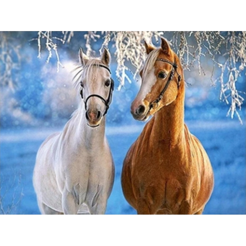 Hästar i snö Diamantmålning | Eget foto diamantmålnings | Diamond painting | Fyndiq | Sverige