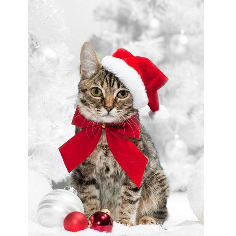 Jul katt Diamantmålning | Eget foto diamantmålnings | Diamond painting | Fyndiq | Sverige