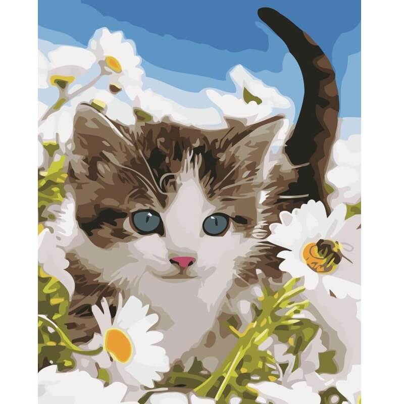 Kattunge - Måla efter nummer Diamantmålning | Eget foto diamantmålnings | Diamond painting | Fyndiq | Sverige