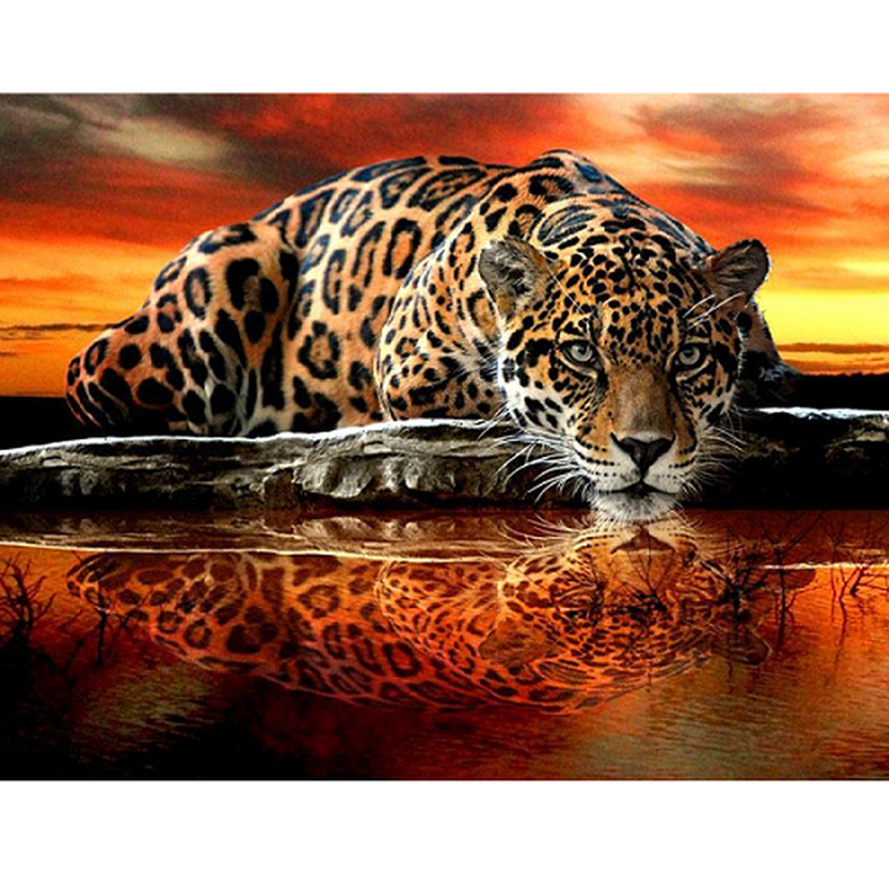 Leopard Diamantmålning | Eget foto diamantmålnings | Diamond painting | Fyndiq | Sverige