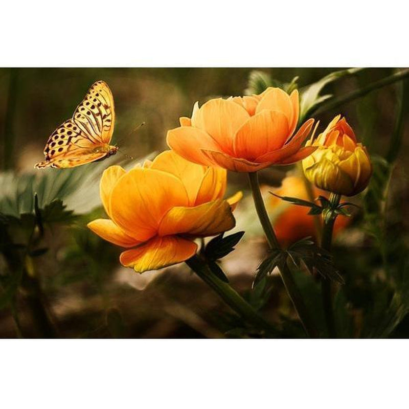 Orange blomma med fjäril Diamantmålning | Eget foto diamantmålnings | Diamond painting | Fyndiq | Sverige