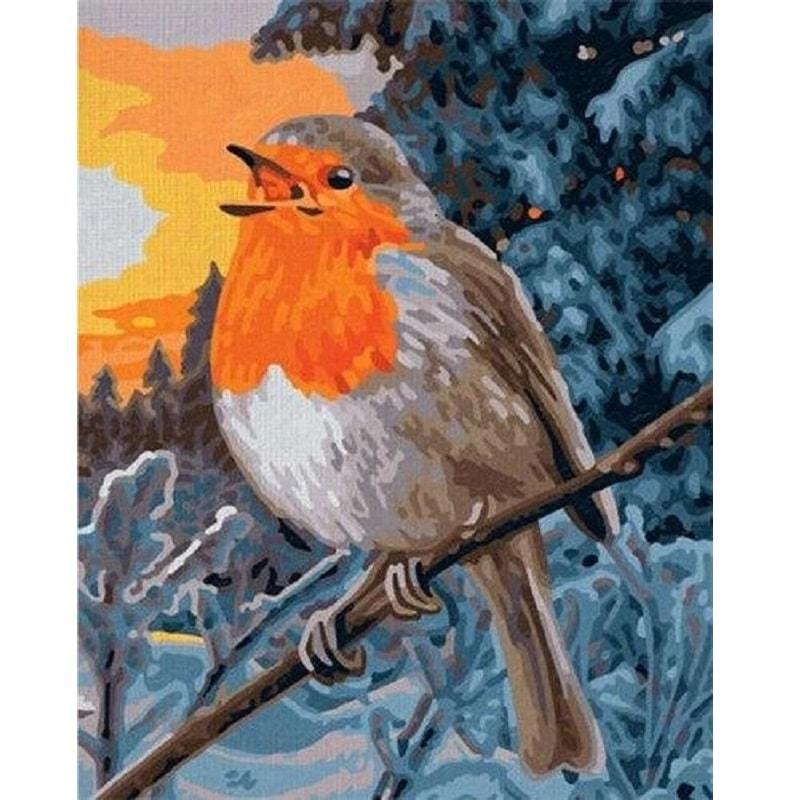 Rödhake - Måla efter nummer Diamantmålning | Eget foto diamantmålnings | Diamond painting | Fyndiq | Sverige