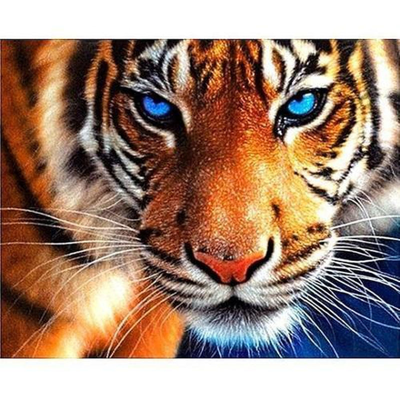 Tiger med blå ögon Diamantmålning | Eget foto diamantmålnings | Diamond painting | Fyndiq | Sverige